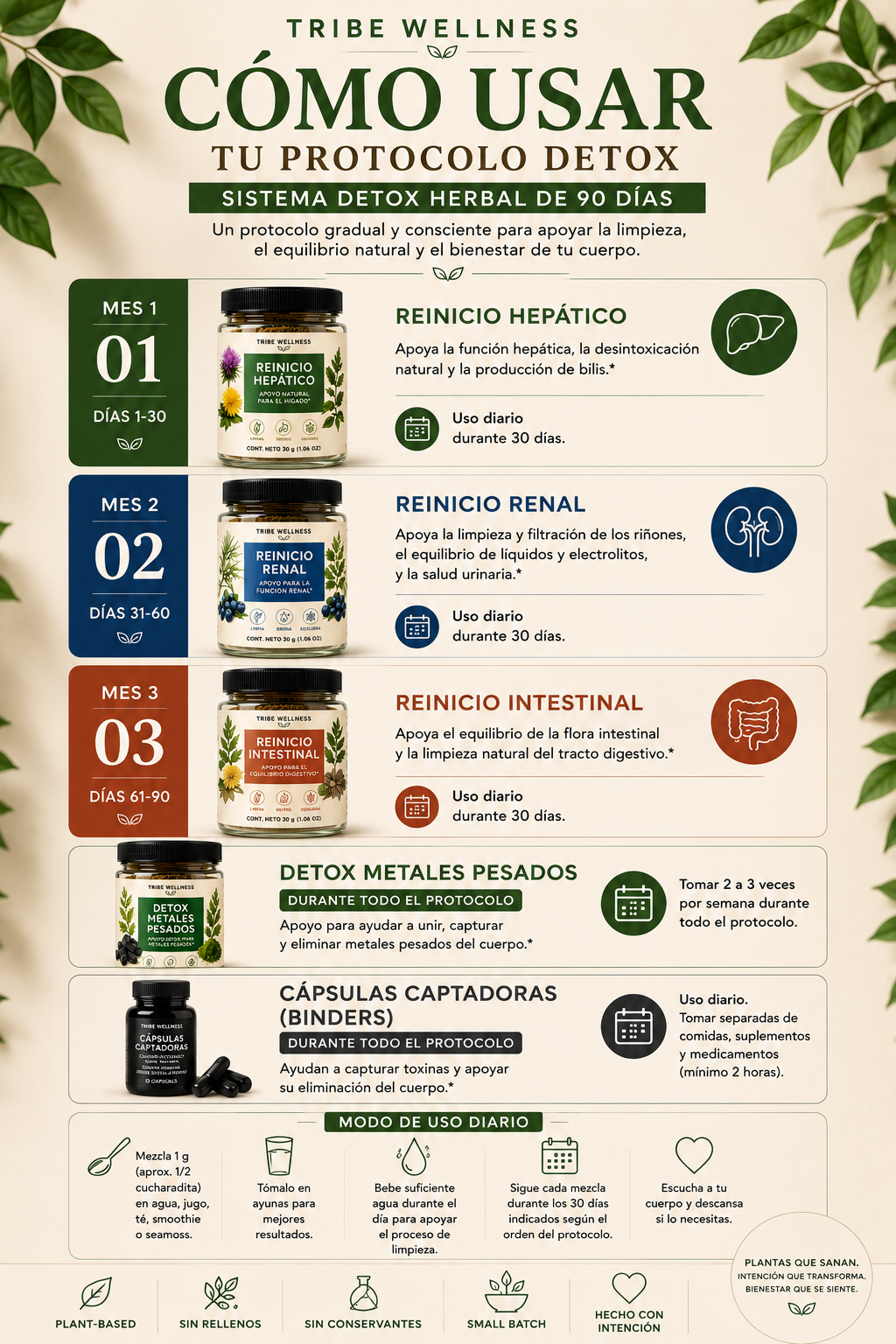 Sistema Detox Herbal de 90 días