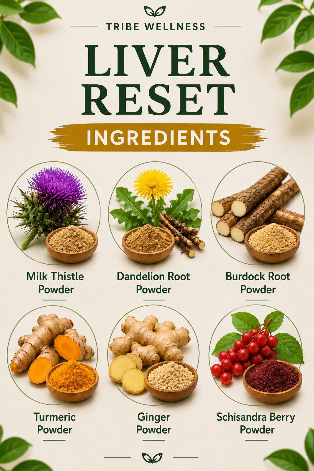 Reinicio Hepatico