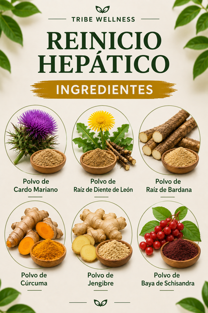 Reinicio Hepatico