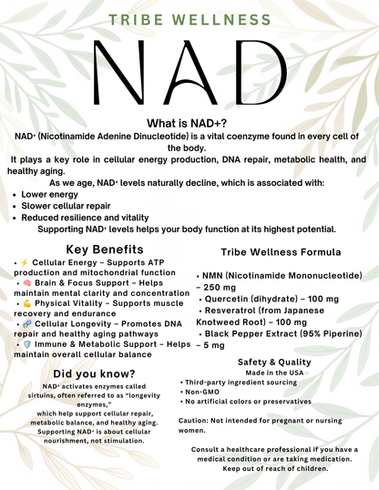 NAD+ 